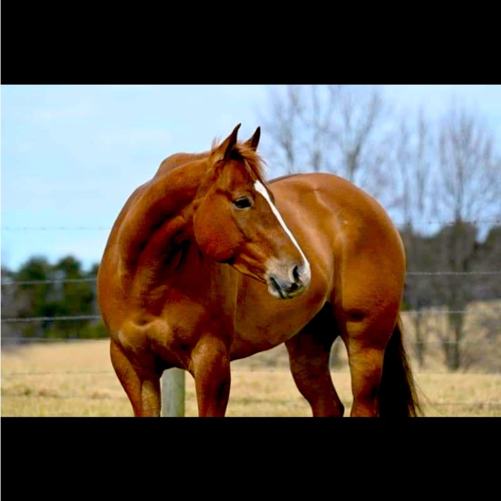 Meet your Posher, Gail